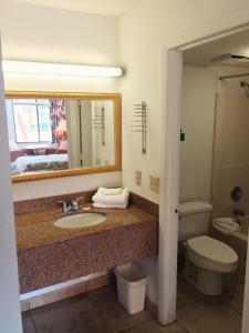 Een badkamer bij Ambassador Inn