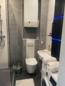 a small bathroom with a toilet and a sink at Apartament mit einem Schlafzimmer Ferienwohnung in Warendorf