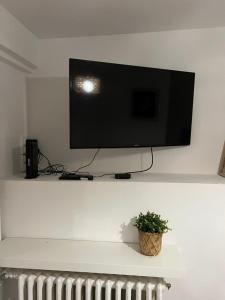 a flat screen tv on a wall with a potted plant at Nid Douillet à Hyères in Hyères