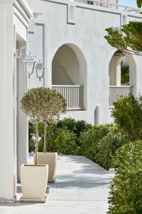 un bâtiment blanc avec deux arbres et un éclairage de rue dans l'établissement Aegean Plaza Hotel, à Kamari