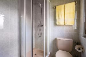 a bathroom with a shower and a toilet at La Casita de Heidi in Cangas de Onís