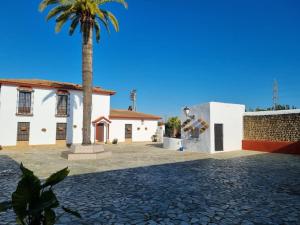 a palm tree in front of a white building at Finca Campo Alegre in Utrera
