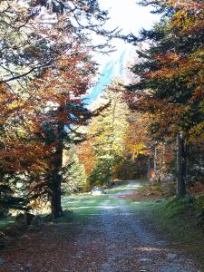 Galeriebild der Unterkunft ESTRELIAS - maison de vacances - Cauterets centre in Cauterets