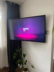 TV a/nebo společenská místnost v ubytování Apartmán Victoria