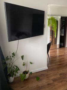 TV a/nebo společenská místnost v ubytování Apartmán Victoria