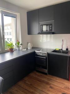 Kuchyň nebo kuchyňský kout v ubytování Apartmán Victoria