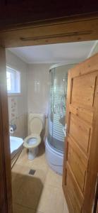a bathroom with a toilet and a tub and a sink at Casa Matei in Poarta