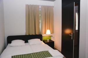 a bedroom with a bed and a window at Alaïa Hostel in Sion