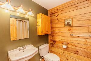 a bathroom with a white toilet and a sink at Hummingbird Hollow in Bryson City +47 photos