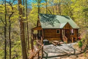 a log cabin in the middle of the woods at Hummingbird Hollow in Bryson City