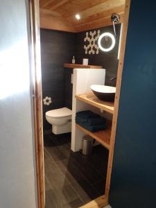 a bathroom with a toilet and a sink at Appartement sur les hauteurs de Mercury in Mercury