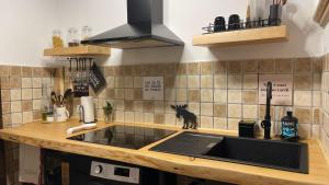 Kuchyň nebo kuchyňský kout v ubytování Koru House Ariccia