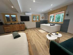 TV a/nebo společenská místnost v ubytování Jacuzzi en forêt