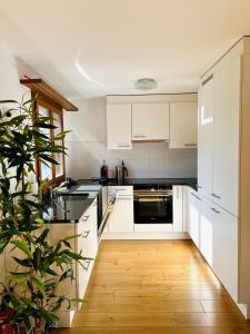 a kitchen with white cabinets and a potted plant at Maisonette 4.5 Zimmer, Nähe Ballenberg in Hofstetten 