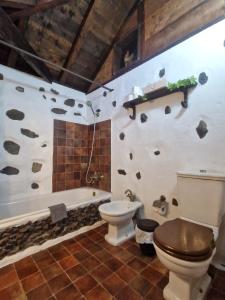 a bathroom with a toilet and a bath tub at CHC - Casa Rural del Molino in Buenavista del Norte