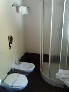 a bathroom with a shower and a toilet and a sink at AgriHotel Papaya in San Pietro Apostolo