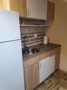 a small kitchen with a sink and a refrigerator at Small cute single room A2 in Pancevo in Pančevo