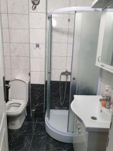 a bathroom with a shower and a toilet and a sink at Small cute single room A2 in Pancevo in Pančevo