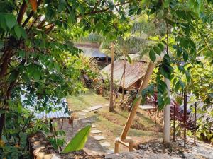a garden with a path leading to a house at Xingú Camping Site in Leticia