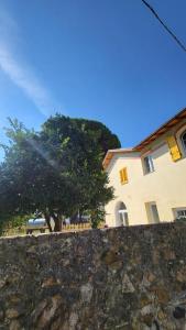 a stone wall in front of a building with a tree at 50&50 Sestri Levante in Sestri Levante