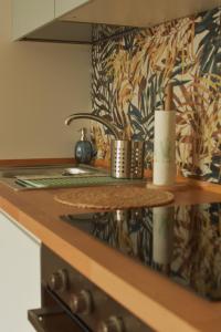 Gallery image of Ciceri Properties Dei Paritgiani in Verbania