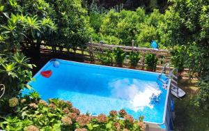 a blue swimming pool in a garden with plants at Casa Vacanze Fontanelle in Badolato