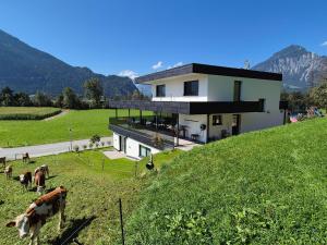 una casa en una colina con vacas en el césped en Zillernest Apartment, en Bruck am Ziller