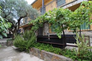 un bâtiment avec un bouquet de vignes qui pousse dessus dans l'établissement Casa rural Victoria, à Valdelamatanza