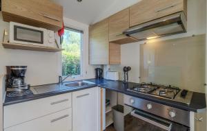 mała kuchnia ze zlewem i kuchenką mikrofalową w obiekcie Pet Friendly Stacaravan In Les Mathes w mieście Les Mathes