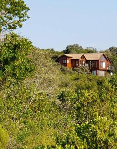 a house sitting on top of a hill at Mount 'n Sea Retreat Studio in Victoria Bay