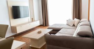 ペスタニにあるApartman Milaのソファとテレビのあるリビングルーム