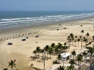 an aerial view of a beach with palm trees and the ocean at Apartamento do Simão in Praia Grande