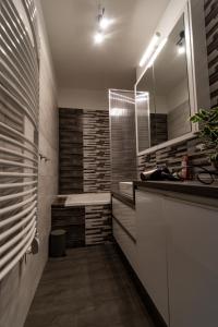 Kúpeľňa v ubytovaní Tisza River Apartman + 25 fotografií