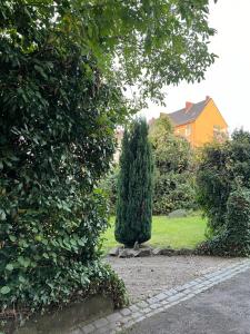 un albero che si trova in mezzo a un cortile di Am Verwaltungszentrum Nähe Mosel a Coblenza