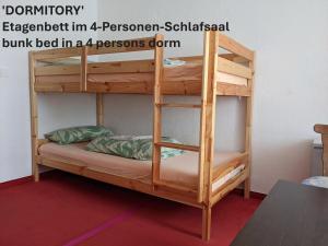 特拉本特拉巴赫Monkey Factory - Mini Home-Stay Hostel的宿舍间内的一张木制双层床