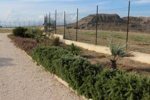 a row of plants next to a fence at B&B L'EDEN DI CAPO BIANCO in Montallegro