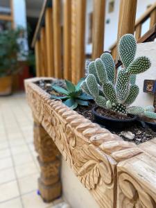 Fotografie z fotogalerie ubytování Hostal San Fransiskuni v destinaci Morelia
