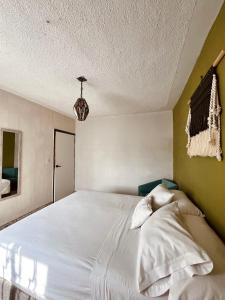 Φωτογραφία από το άλμπουμ του Lool Beh Hostal σε San Miguel de Allende +19 φωτογραφίες