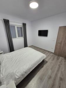 a bedroom with a bed and a flat screen tv at Adelina House in Remetea Mare +5 photos