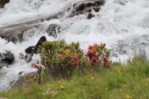 Paesaggio naturale nelle vicinanze dell'hotel