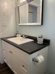 een badkamer met een wastafel en een spiegel bij Stoneshire Guesthouse in Clearwater