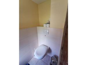 a bathroom with a white toilet in a room at Holiday apartment mountain idyll in Hänischmühle