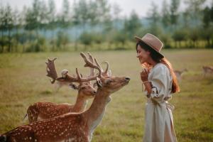 a woman standing next to three deer in a field at Jurta w Dolinie Sanu in Krzemienna +9 photos