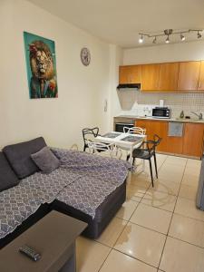 Η κουζίνα ή μικρή κουζίνα στο STEFARIS PROPERTIES "mekenzi 3"