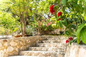 Κήπος έξω από το Kakina Lodges Jan Thiel