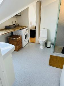 a bathroom with a washing machine and a toilet at Cozy 2-room Apartment in Aarhus +14 photos
