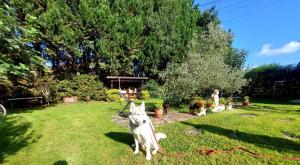 Fotografie z fotogalerie ubytování Hotel Rural Rumoroso v destinaci Rumoroso