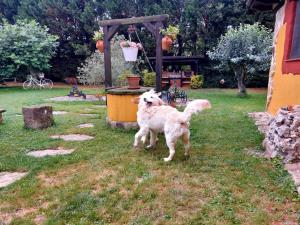 Fotografie z fotogalerie ubytování Hotel Rural Rumoroso v destinaci Rumoroso