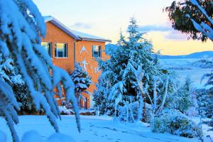 a house with trees and snow covered ground at Panorama Jindabyne in Jindabyne