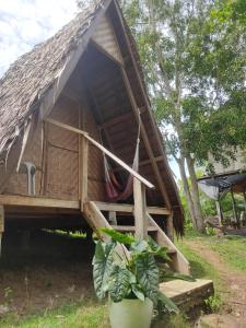 Firefly Treehouse Cafe and Bar外面的花园